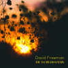 DAVID FREEMAN - THE WORLDS WITHIN