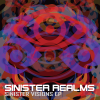 SINISTER REALMS - SINISTER VISIONS