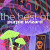 PURPLE WIZARD - CONSTELLATIONS
