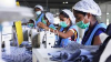 Systematix Note - Pearl Global Industries