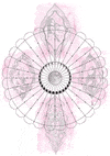 Threads Tracker