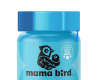 Mama bird - Jessicastover