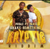 Shake something ft Paris (Kryptic Riddim)