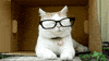 Pair EyeWear