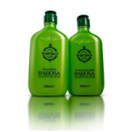 Shampoo e Condicionador Babosa e Azeite