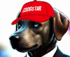 Cdogstar Instagram
