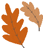 5 ottobre 2025 | Festa D'Autunno a Feletto