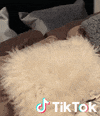 Vitrine Tiktok Shop