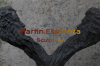 Martin Espinosa's Website