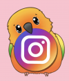 Sprinkles Instagram