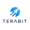 Terabit | Top Tier Server Hosting