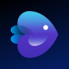 Invideo Deal