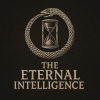 @TheEternalIntelligence on TikTok