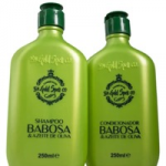 Shampoo e Condicionador (Babosa e Azeite)