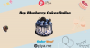 Buy Blueberry Cake Online