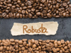 Cà phê Robusta là gì ? Trồng ở đâu, có vị gì, cách nhận biết