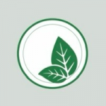 Site • Anápolis-GO