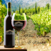 Wine, Women, & Wealth® - Raleigh, NC  Mon 9/14 (Allison Strickland)
