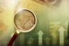 INDIA ECONOMY - India Economy & Strategy