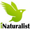 iNaturalist Profile