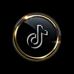 My TikTok
