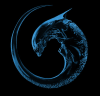 avpgalaxy.net