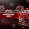 Pandemic News Report