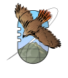 Alveus Pixel Project 2