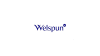 RESULT UPDATE - Welspun Corp