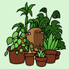 Plants