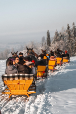 Dec. 19-20. Lovasszánozás Zakopane