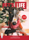 🐾Pet's Life, edición 64🐾