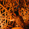 Festival Stories