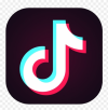 TikTok (short form content, life updates, shitposting)