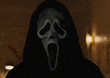 Tour the SCREAM House!