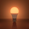 Circadian Lightbulbs | CATHERINE10 for 10% off
