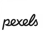 Pexel Free Image