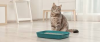 Manejo responsable de las heces de mascota