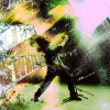 Stream new single - The Swallow