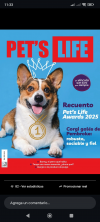 🐾Pet's Life edición 65🐾