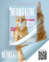 MEOWGAZINE
