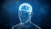 Brain Renewal Detox