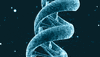 Lead Organizer and Instructor, DeepBio Academy