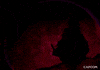 RedGIFS LiloMoon69