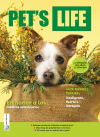 🐾Pet's Life edición 66🐾