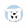 Site internet