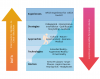 A Framework for the Implementation of Extended Reality in Tourism From the Perspective of Human-Centered Experiences