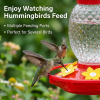 Glass Humming Bird Feeder