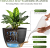 Self Watering Pots