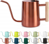 Indoor Stainless Steel Watering Can